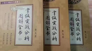 鲁凡-掌纹实战图解全书