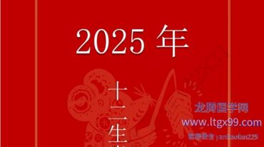 司天喜2025年十二生肖总运势.pdf