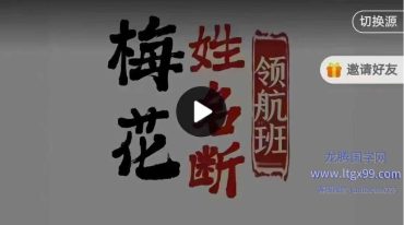 陈春林九纬洪运梅花姓名断领航班