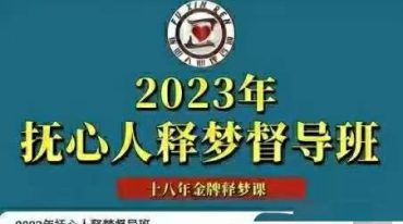 王邈 抚心人释梦基础理论300讲+抚心人释梦督导班