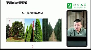 吕氏时空人 时空与健康板块-时空本草