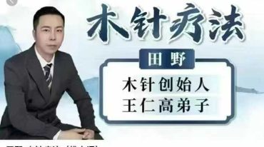 田野 木针疗法
