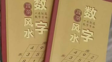 张敬平《数字里的风水》上下册合集