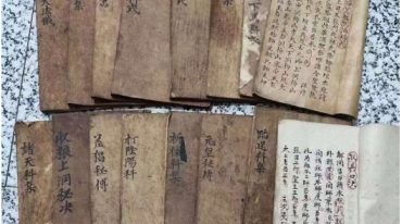 元皇派法秘书 元皇23本