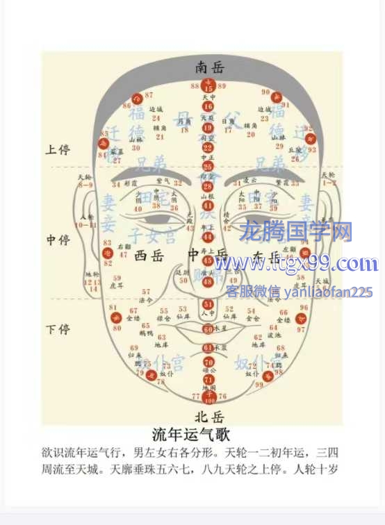 面相300问 面相教学资料230页.pdf_龙腾国学网