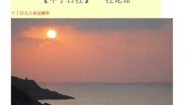 一柱论命双飞排盘.pdf