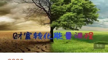 财富系列 转化家族财富业力 以新频率改写命运 创造金钱与丰盛的深度疗愈大课