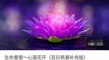 生命重塑 心莲花开 百日筑基补充版
