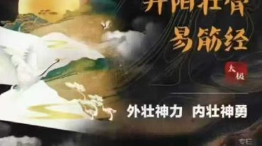 美女老师太极7套视频合集 古武传承功