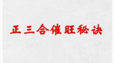 杨家成宇光真师-正三合催旺秘诀秘籍绝无雷同 350页.pdf