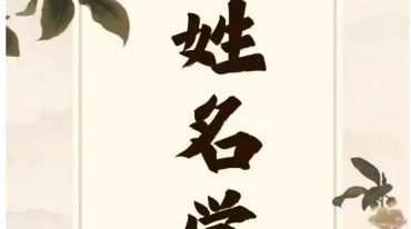 魏宏卿 姓名學