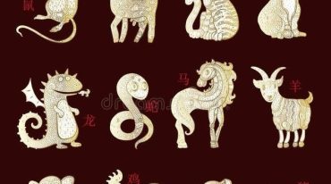 万众期待乙巳年 生肖解析大文