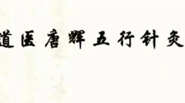 唐辉五行针灸资料 穴位 .pdf