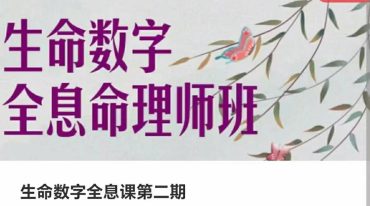 生命数字全息课第二期