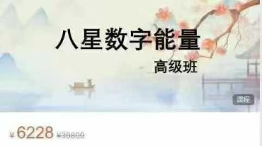 东禾易医八星数字能量中高级班