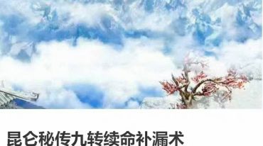 昆仑秘传九转续命补漏术
