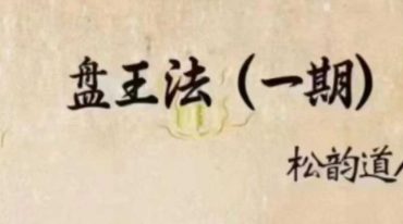 盘王法8期合集