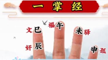 小凤仙一掌经