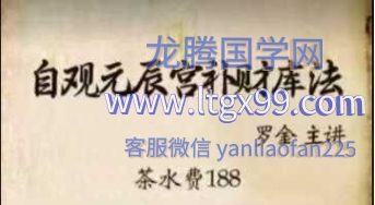 罗金自观元辰补财库法