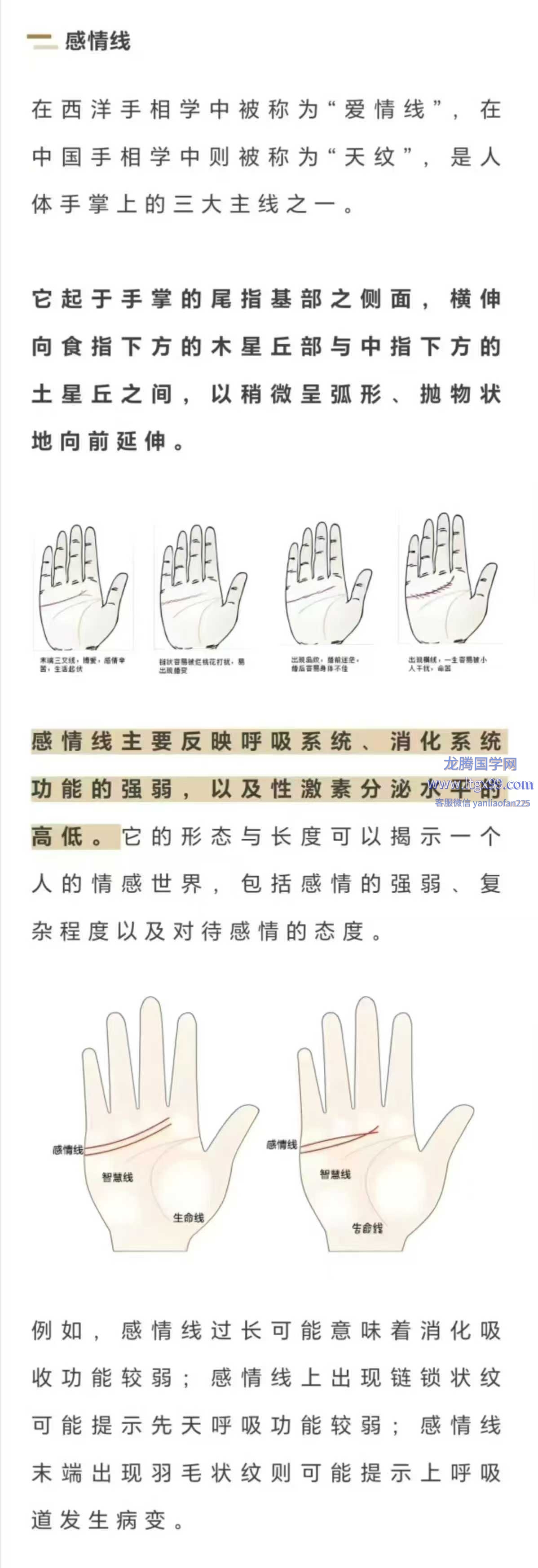 依依掌上乾坤手纹精讲_龙腾国学网