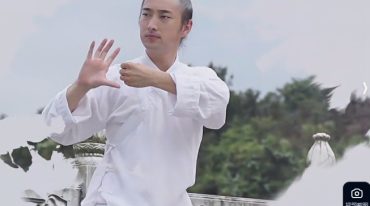 李在峰 太极八段锦一阶养颜活血+二阶祛邪扶正