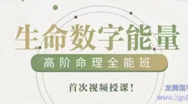 生命数字高阶训练营