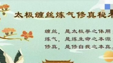 太极缠丝练气修真秘术43集
