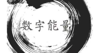 C总 2025年数字能量课