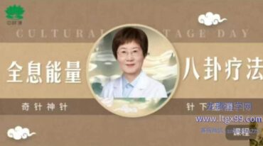 江芳萍全息能量八卦疗法脐针 系列网课