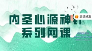 冷阳 内圣心源神针 系列网课