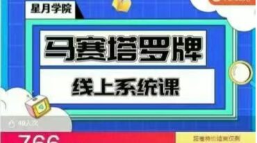 辛月黑月老师马赛塔罗系统课