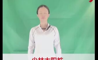 郑琰桩功