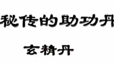 极为秘传的助功丹药