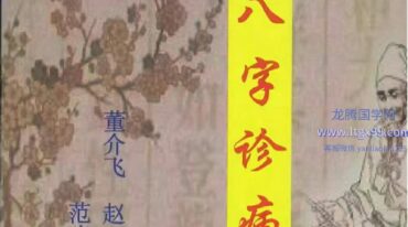 董介飞 八字诊病术