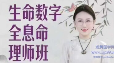 吴雨芯 生命数字全息命理师课23集