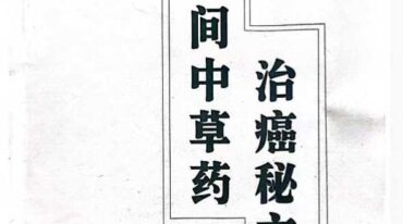 民间中草药治癌秘方