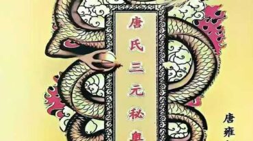 相形地理大脉图 唐氏三元秘奥 唐雍智 删除空白页 实际704页.pdf