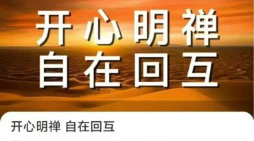 开心明禅 自在回互