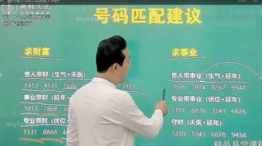 军师张仪33集 玄数奇门教材