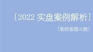 紫梧紫微斗数 2022实盘案例解析