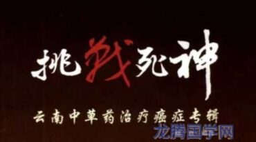 挑战死神 云南中草药治疗癌症专辑 陈欣编著.pdf