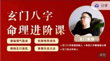 玄门紫烽玄门八字命理进阶课120集视频课