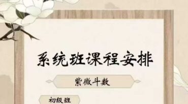 紫悟紫微斗数第三期系统