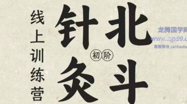 北斗针灸线上训练营