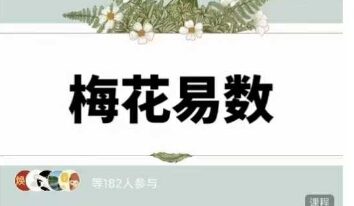 岳哥不群梅花易数从入门到熟练