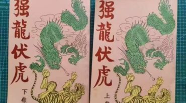 强龙伏虎 于海洲 2册