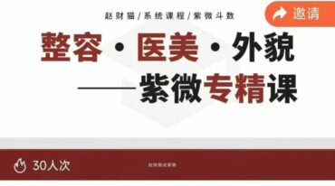 赵财猫紫微系列三套视频