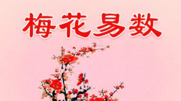 陈春林2025版梅花心易学习笔记