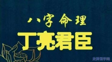 丁亮君臣 命主理论讲义汇编526页