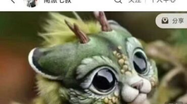 南派七叔 灵宠